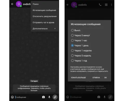 Скриншот интерфейса Delta Chat c версии 2.62.0 под Android